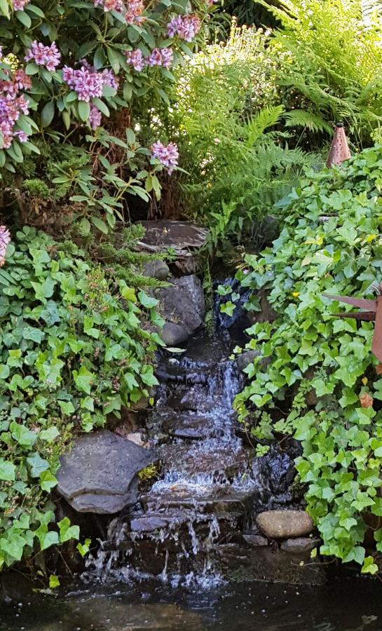 Five Seasuns Bed And Breakfast Port Angeles Exterior foto
