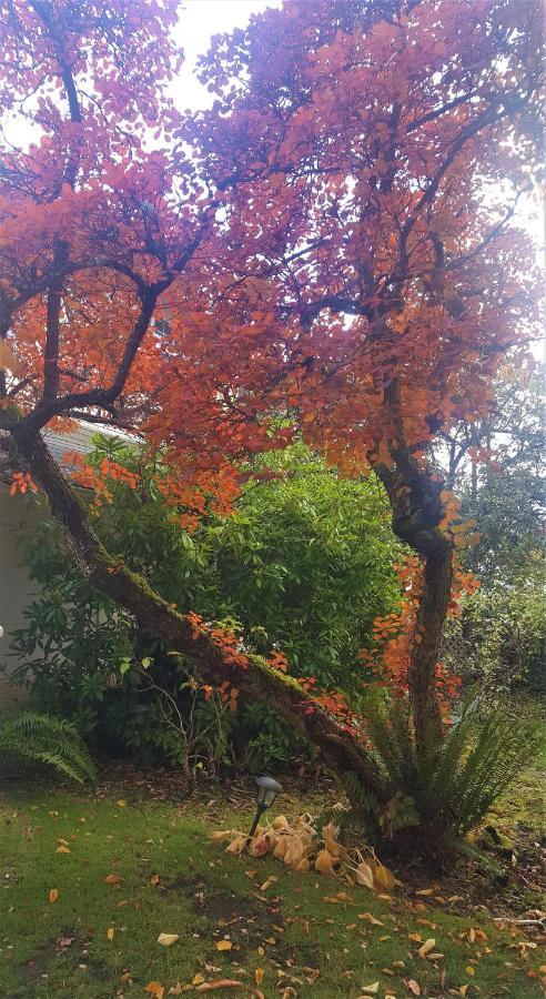 Five Seasuns Bed And Breakfast Port Angeles Exterior foto